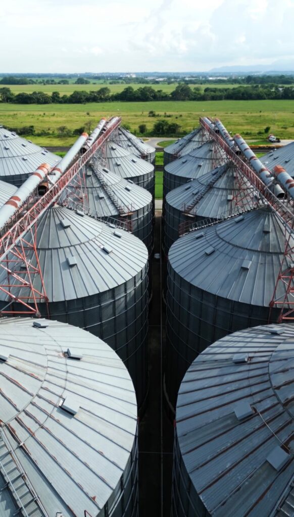 Planta de Silos